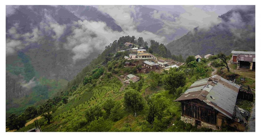 Auli