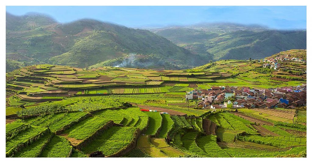 Kodaikanal