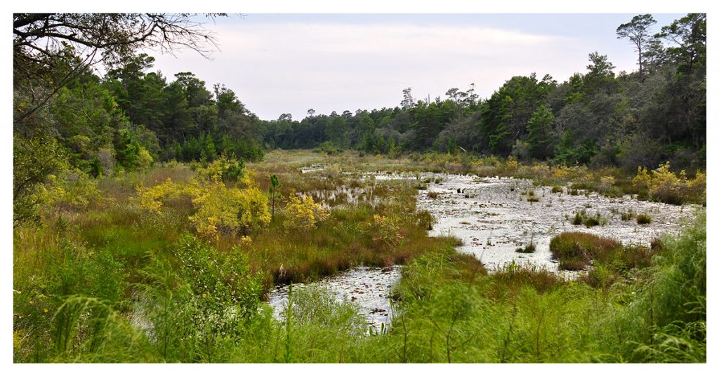 Fred Gannon Rocky Bayou State Park