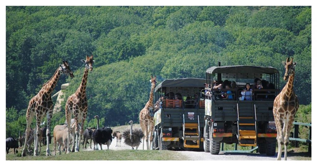 largest animal park in england