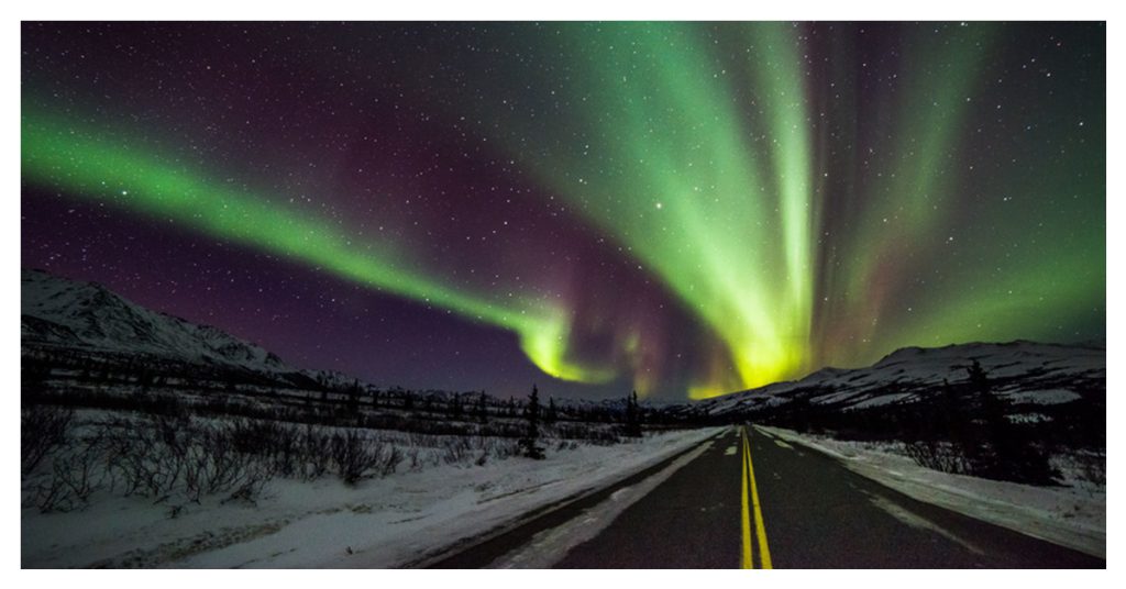 Denali National Park