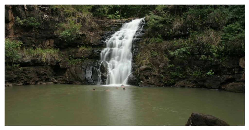 Jump Off Waimea Falls