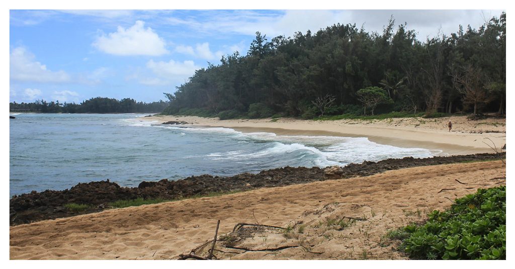 Visit Kahuku Point