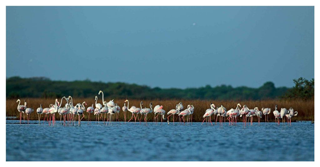 Chundikulam National Park