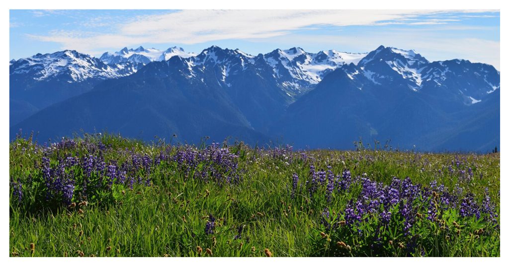 Hurricane Ridge