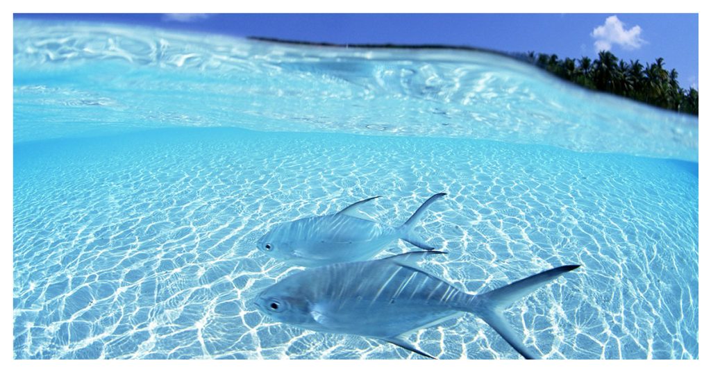 The water is crystal clear