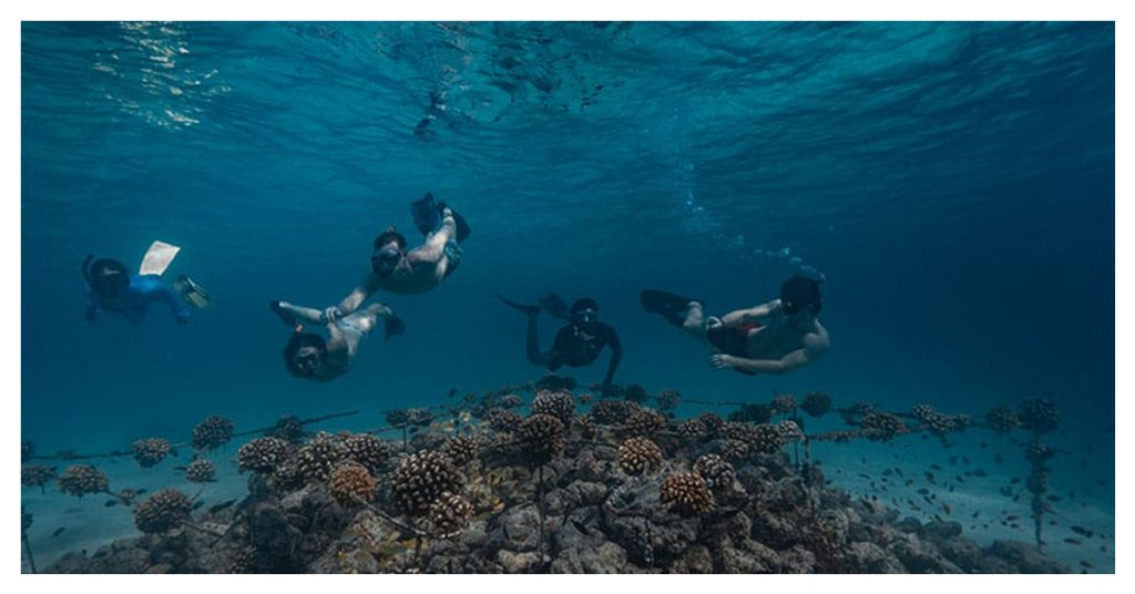dive school in Fushifaru Maldives