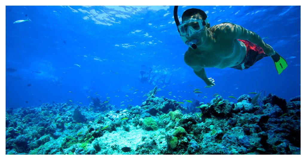 snorkelling