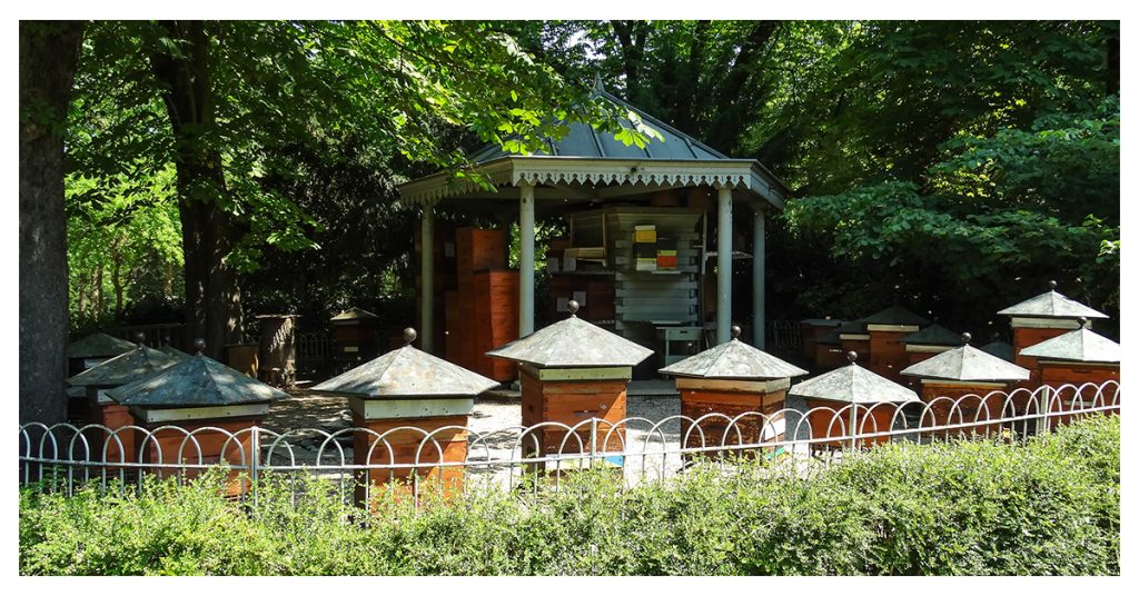 Apiary