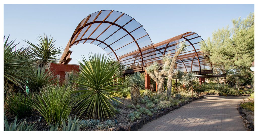 Desert Botanical Garden