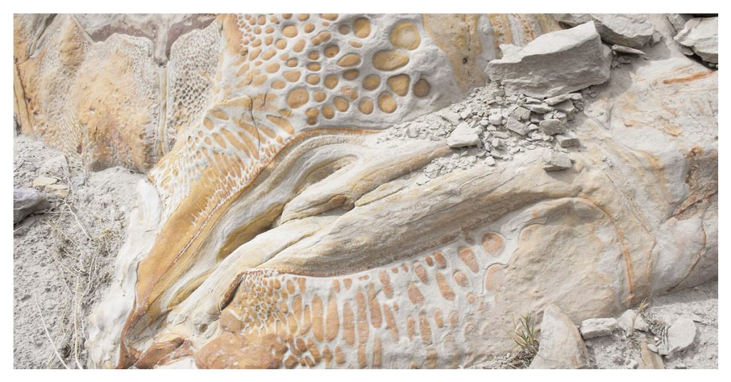 Dinosaur National Monument