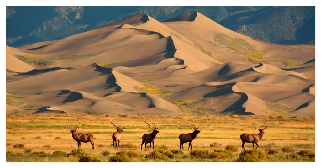 Great Sand Dunes National Park and Preserve