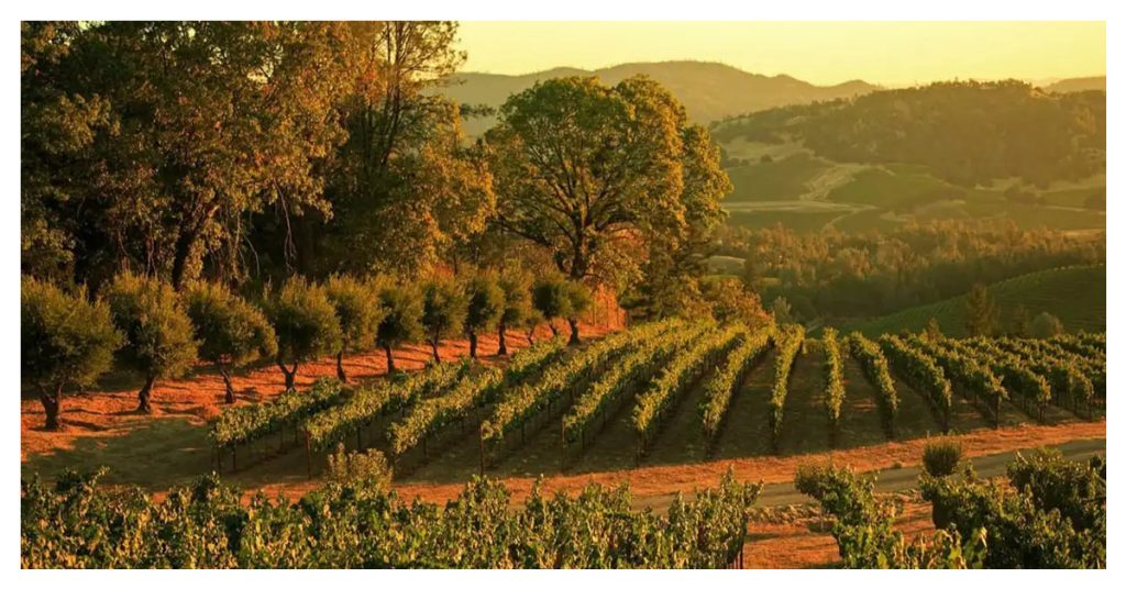 St. Helena