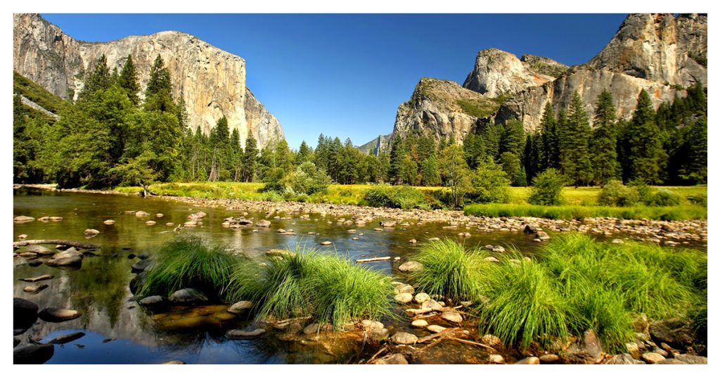 Yosemite National Park