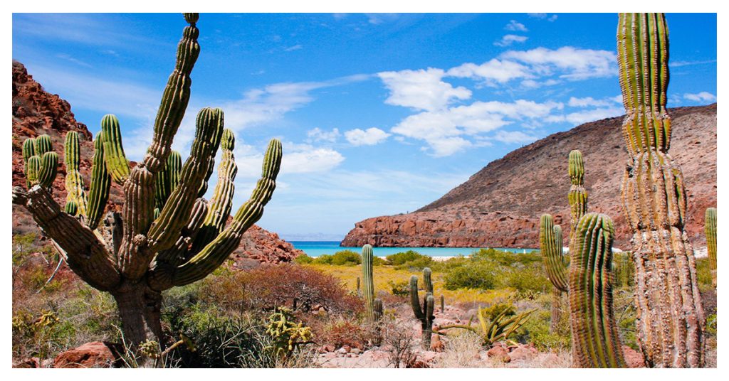 Baja California