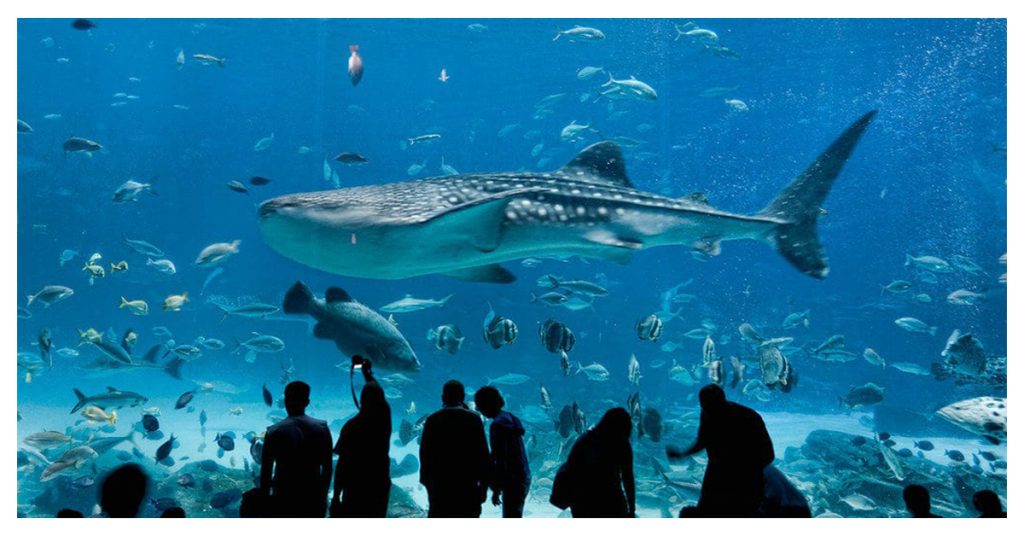 Dallas World Aquarium