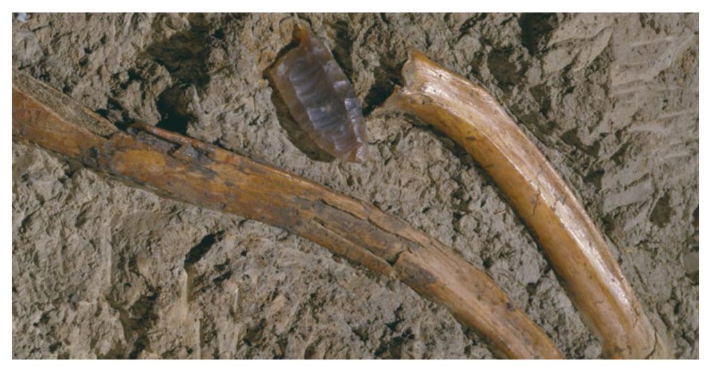 Folsom Spear Point