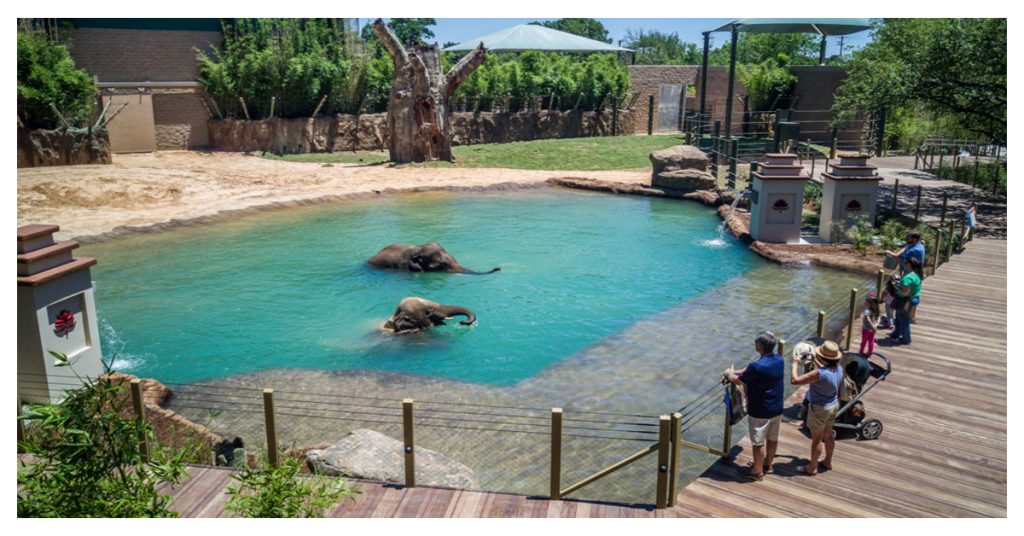 Houston Zoo