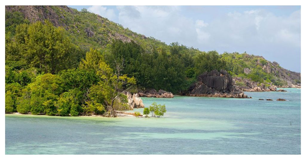 Ile Moyenne