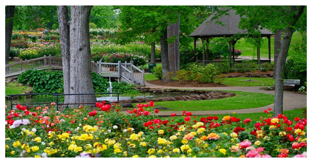 Municipal Rose Garden