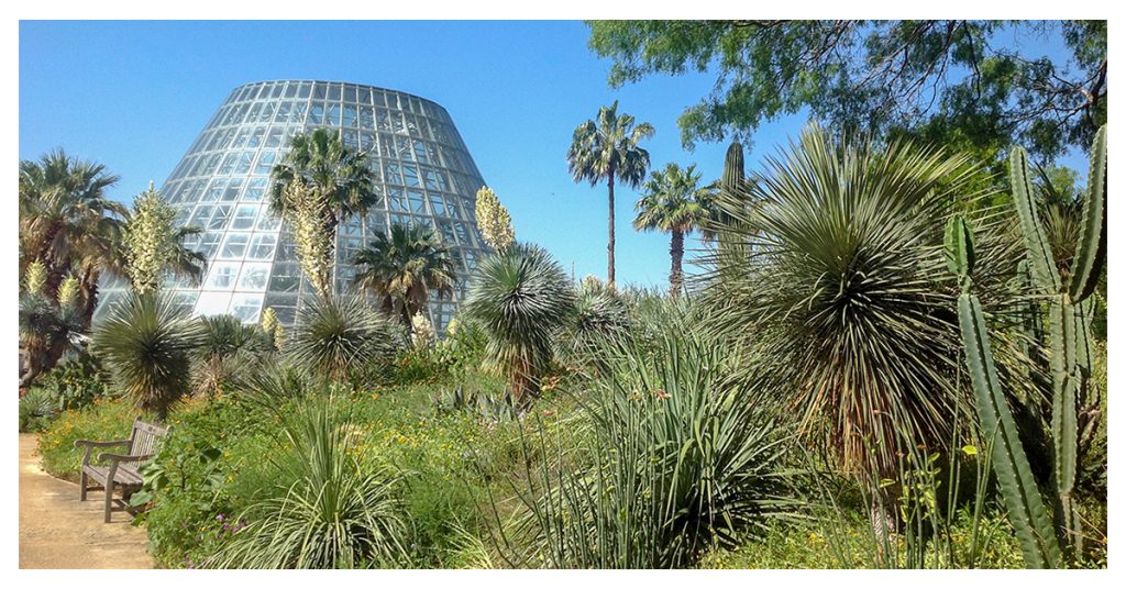 San Antonio Botanical Garden