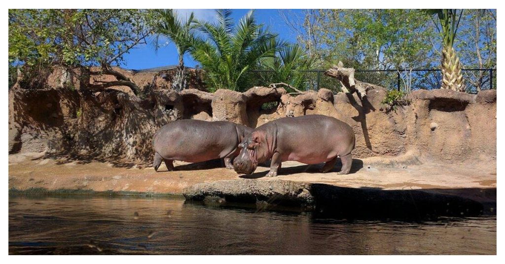 San Antonio Zoo