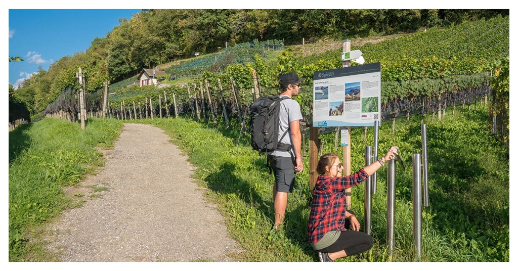 Spiez Vineyard Sensory Adventure Trail