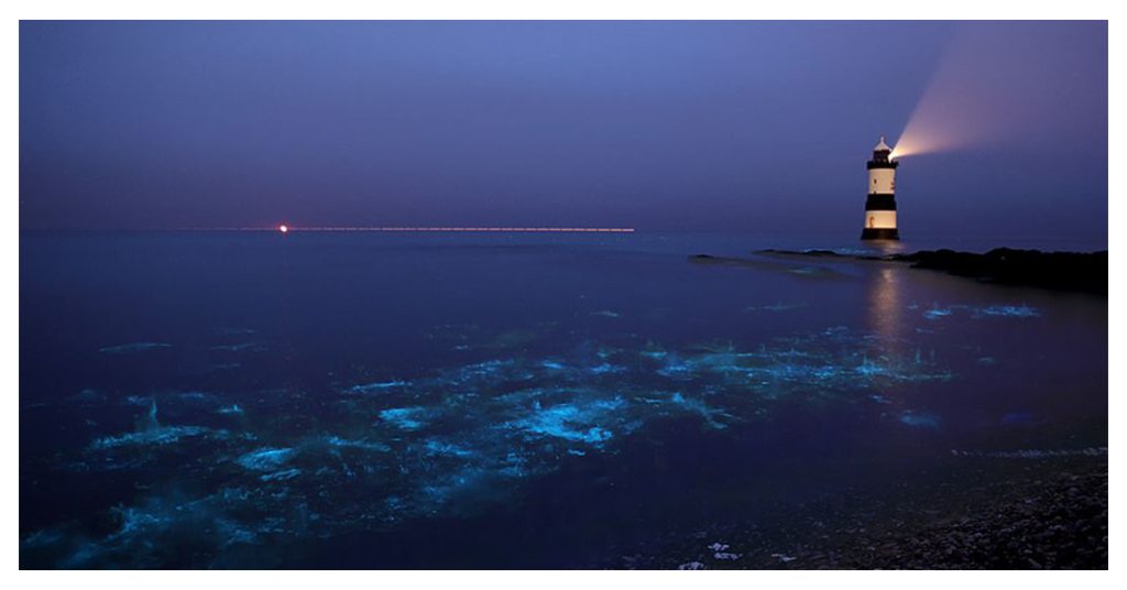 Vaadhoo Lighthouse