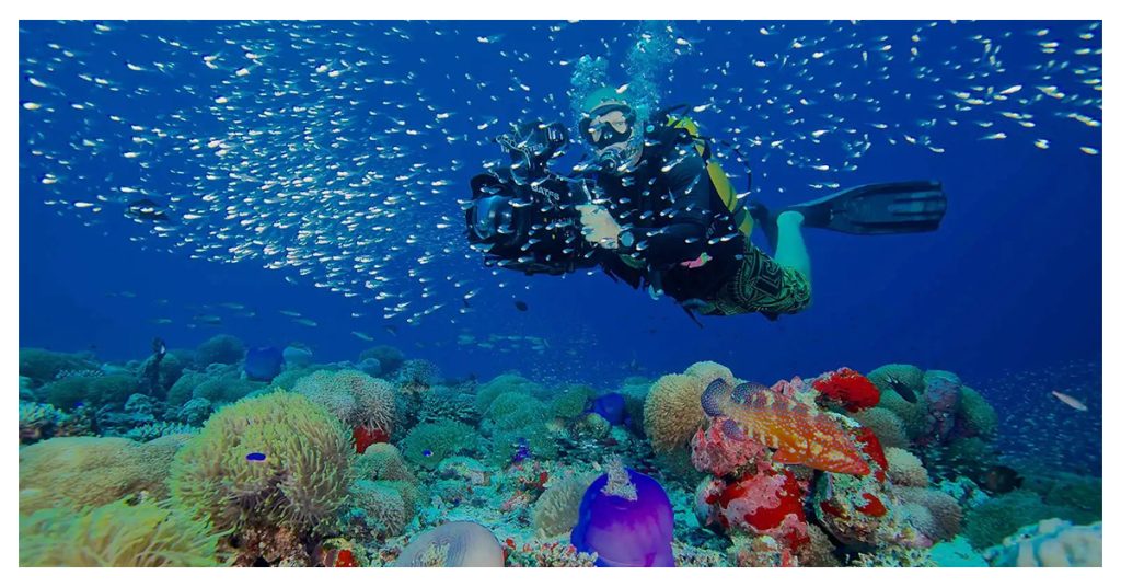 Vaadhoo Reef