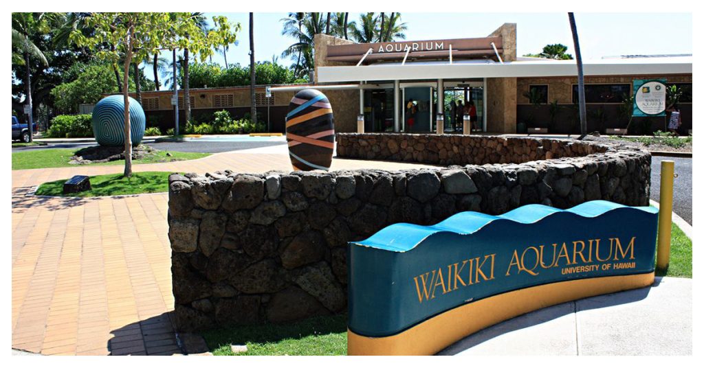 Waikiki Aquarium