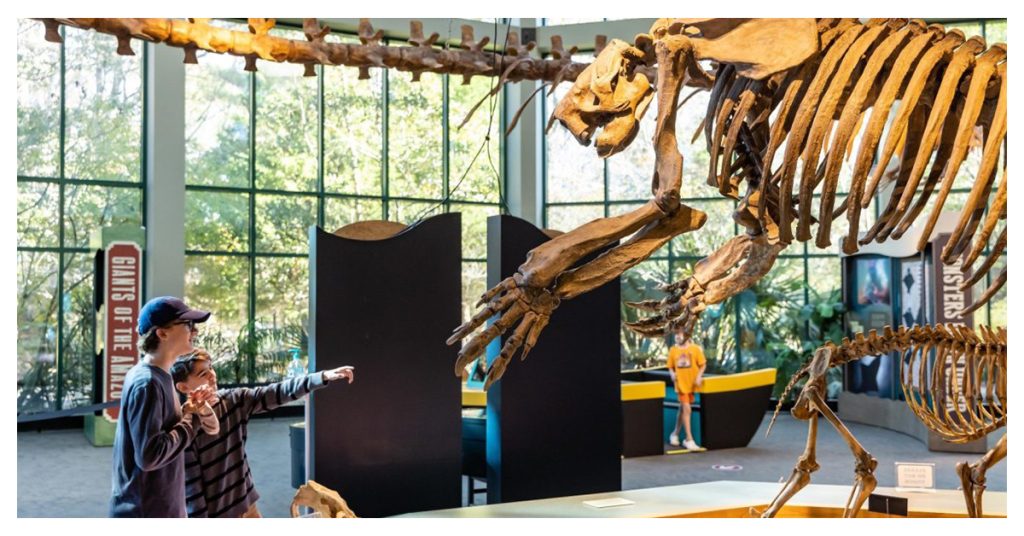 Mississippi Museum of Natural Science
