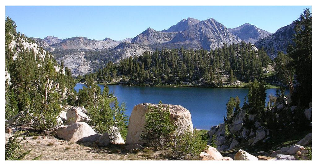 National Forest