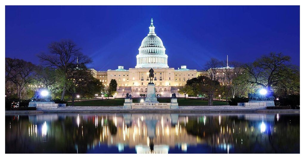 Night Walks And Tours