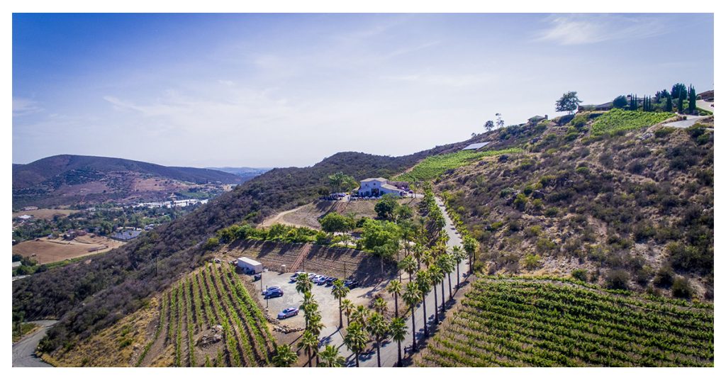 Sunshine Mountain Vineyard