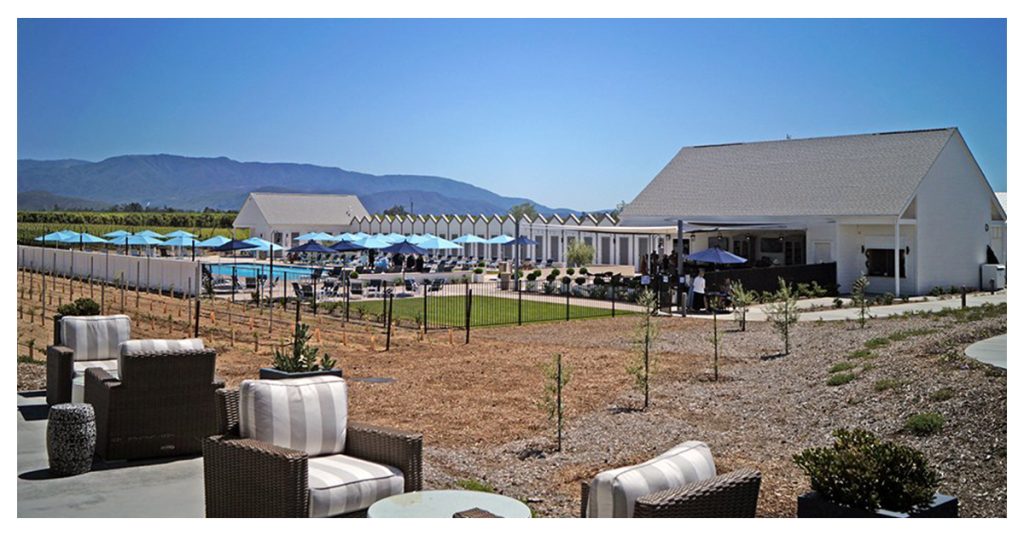 The Pool At Bottaia Winery