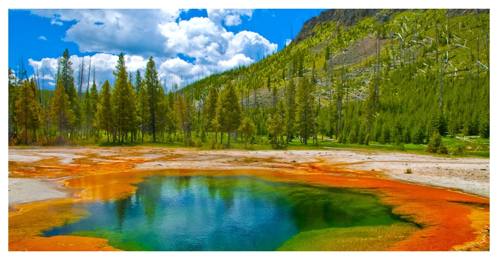 Yellowstone National Park