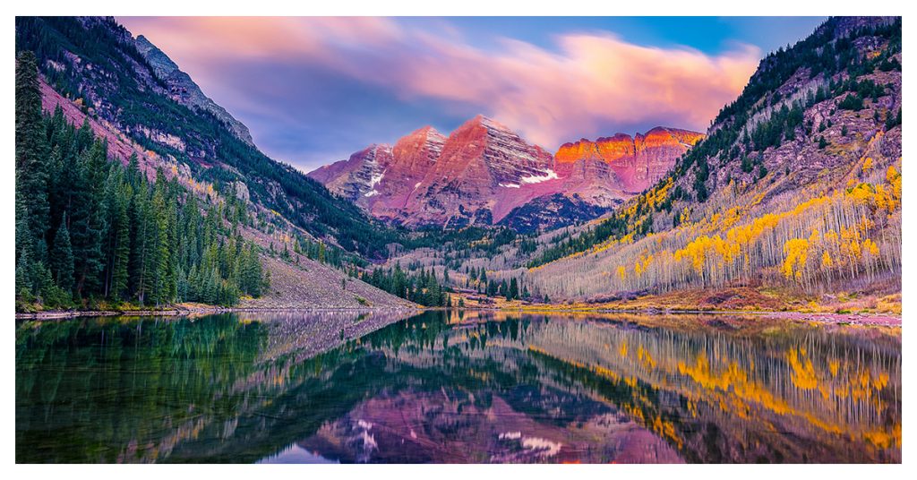 MAROON BELLS