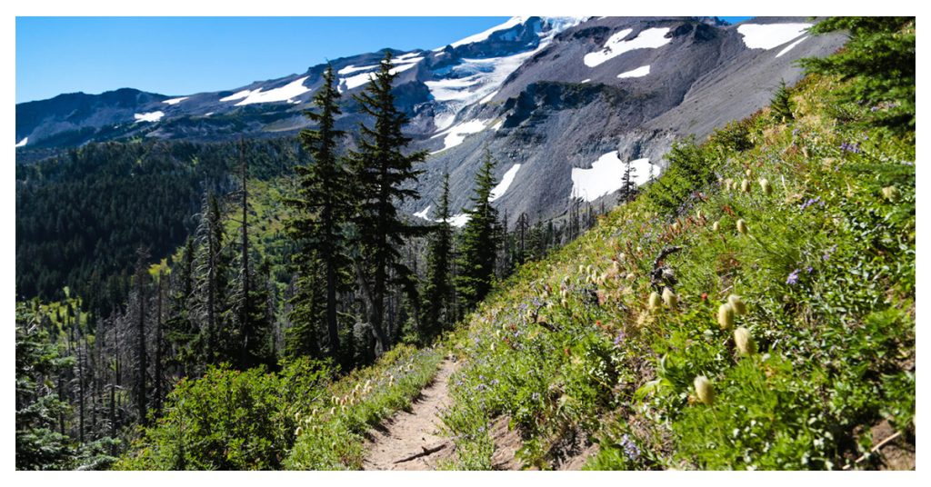 Mount Hood National Forest