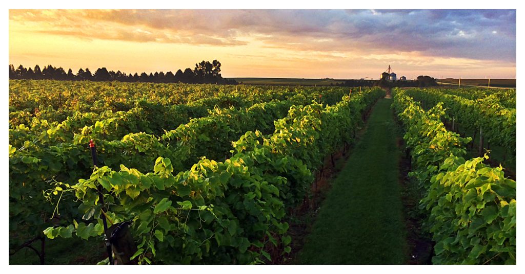 Salem Glen Vineyard And Winery