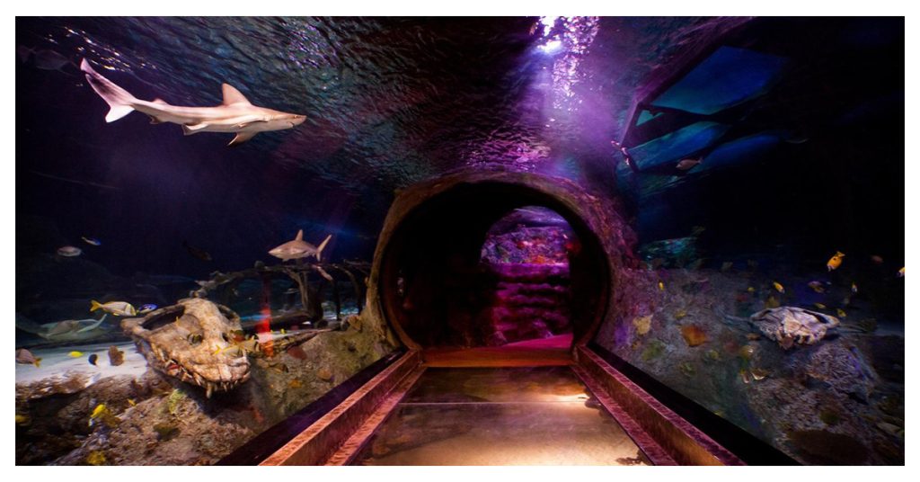 Sea Life Grapevine Aquarium