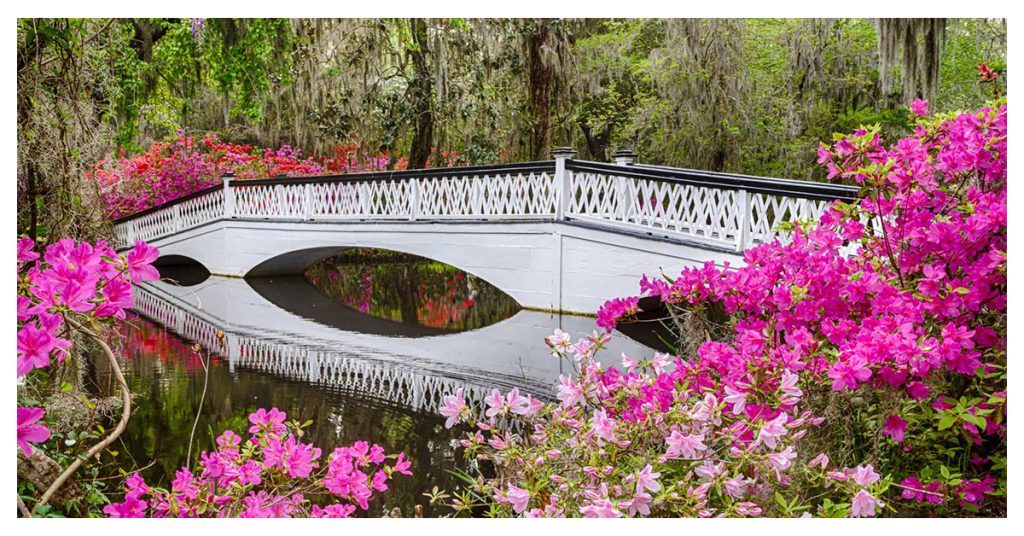 South Carolina Plantation Gardens