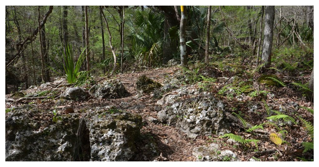 Citrus Hiking Trail