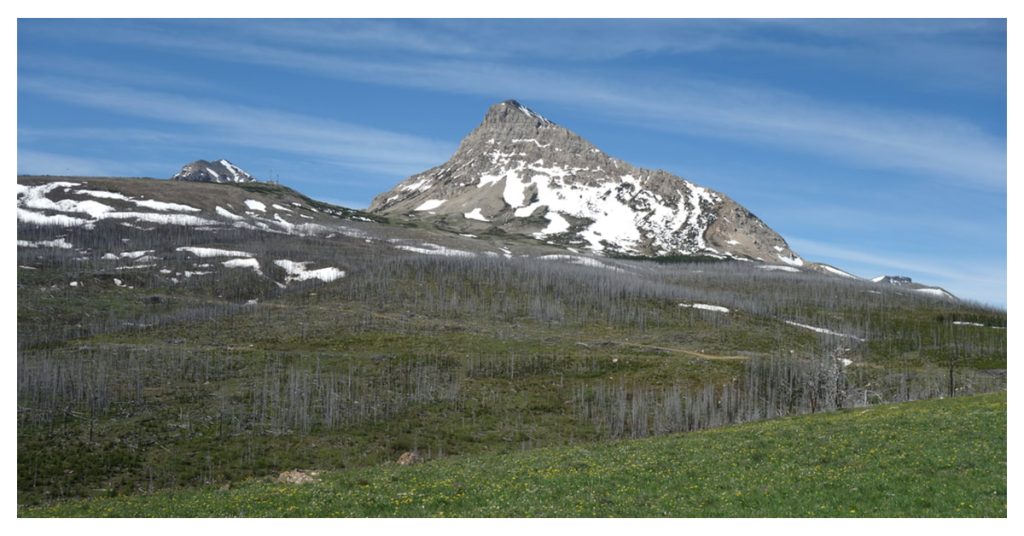 Montana Mountains