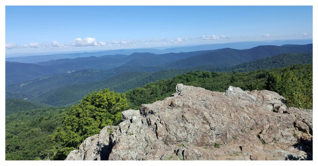 Mountain Bearfence