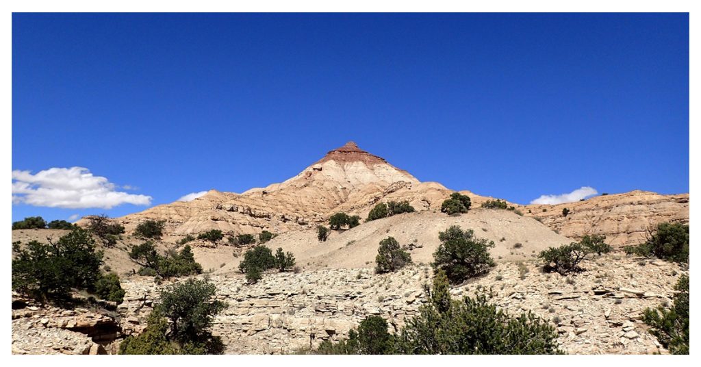 The Wickiup