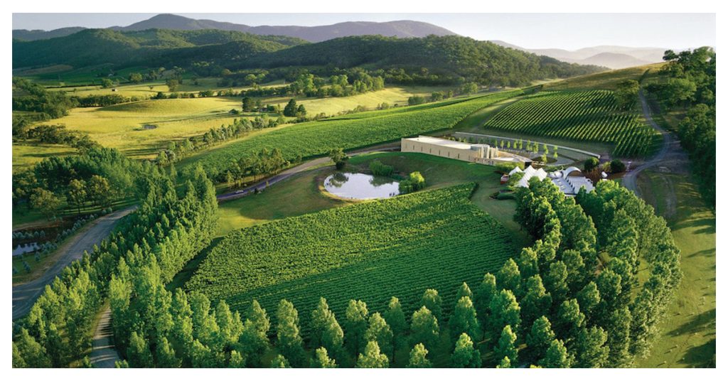 Victoria Valley Vineyards