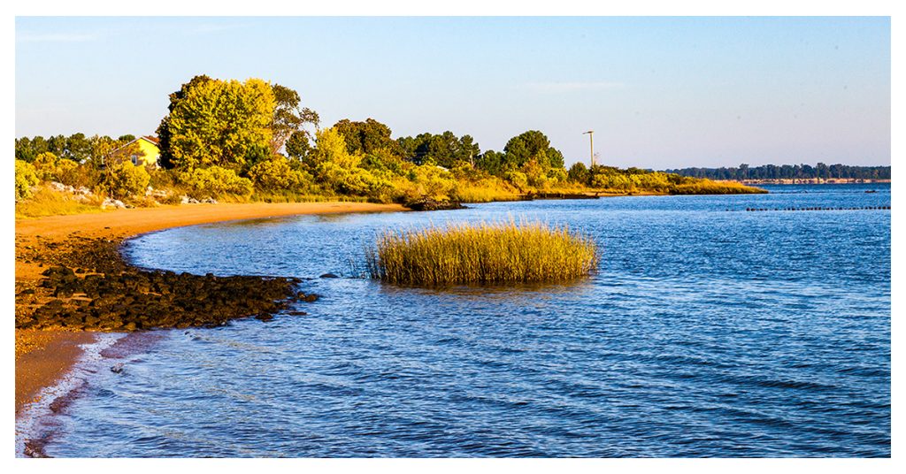 Hog Island