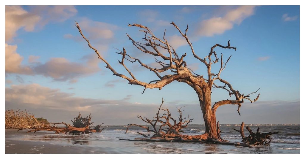 Jekyll Island