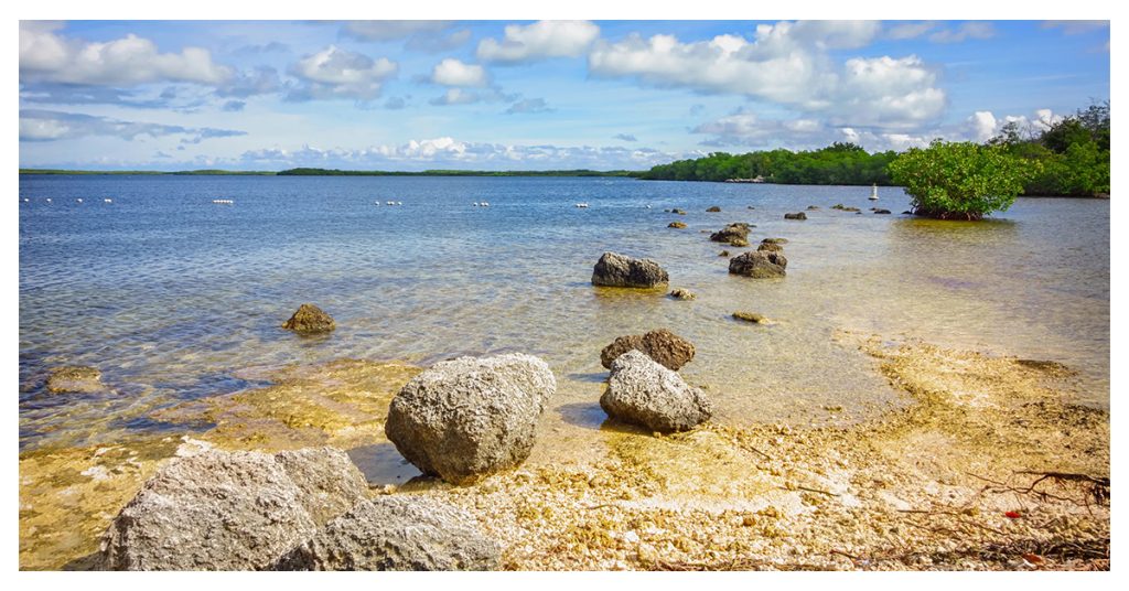 John Pennekamp State Park of the Coral Reef