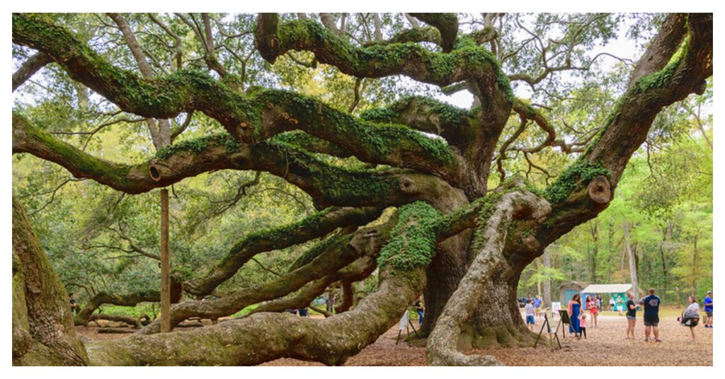 Johns Island